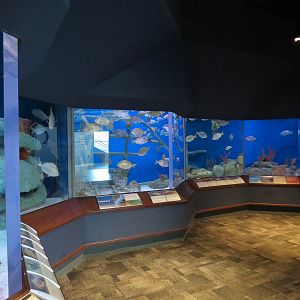 Ocean - Offshore Exhibits