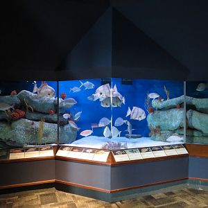 Ocean - Offshore Exhibits