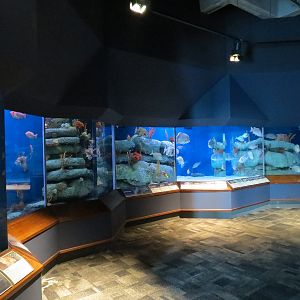Ocean - Offshore Exhibits
