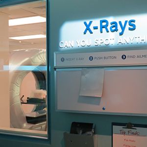 Sea Turtle Recovery - Interpretive Exhibits