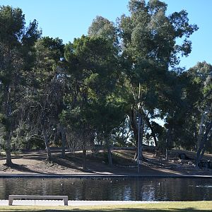 Site of future Asia expansion