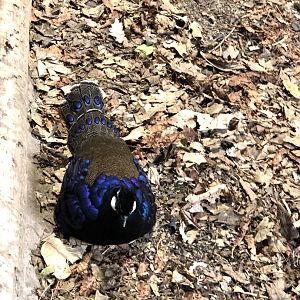 Can someone identify this for me please.