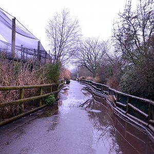 General view of slightly wet leading to the Tsavo aviary