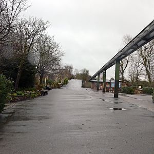 General view from the Monkey house towards the bridge between Elephants & Aviary