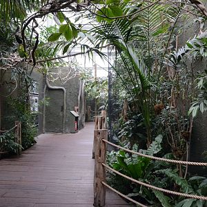 Inside view of the ROTRA just after you have entered