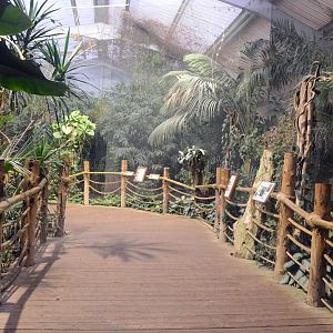 View from inside Dragon's in Danger as you enter the aviary area