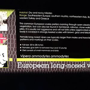 New sign, Adaptation Hall