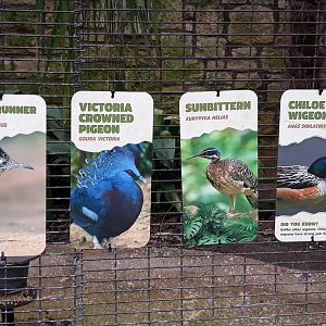 Same signs, different arrangement