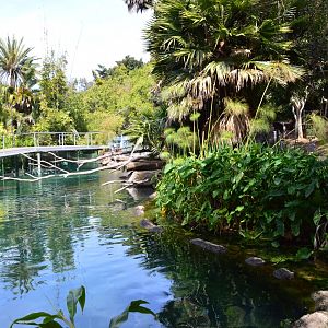 Hippo and Okapi Exhibits