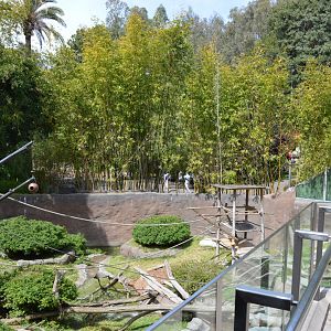 Mixed African Primate Exhibit