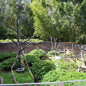 Mixed African Primate/Otter Exhibit