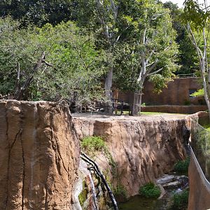 Mixed Forest-buffalo Exhibit