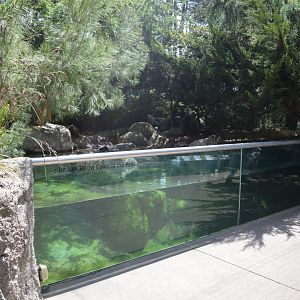 Northern Waterfowl Exhibit