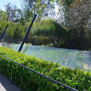 Unusual Maned Wolf Fence