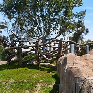 Elephant Tree-protection