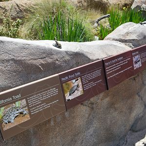 Native Pond Signeage