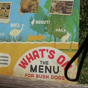 Bush dog miss-information