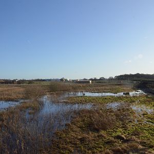View to Extension Area (not yet accessible) at Yorkshire WP, 18/01/20