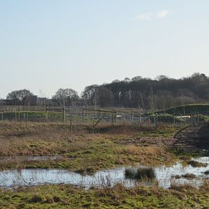 View to Extension Area (not yet accessible) at Yorkshire WP, 18/01/20