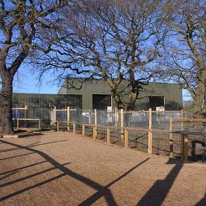 New Okapi Stabling at Yorkshire WP, 18/01/20