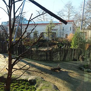 View into the Savanna aviary from the restaurant, 2019-12-30