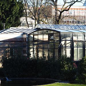 Indoor housing and holding aviary Caribbean flamingos, 2019-12-30