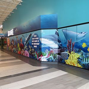 Exterior - Inside Mall