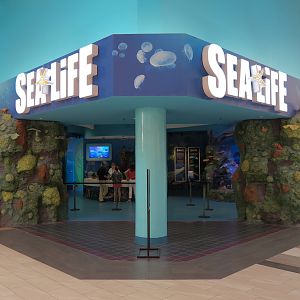 Entrance to Admissions