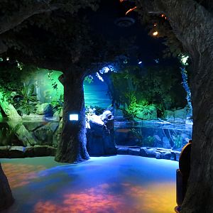 Catawba River Exhibits