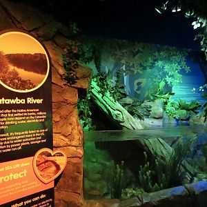 Catawba River Exhibits