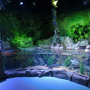 Catawba River Exhibits