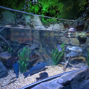 Catawba River Exhibits