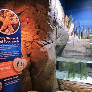 Sandy Shores Exhibit