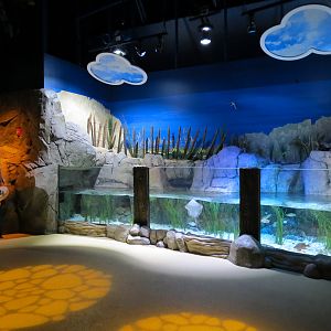 Sandy Shores Exhibit