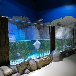 Sandy Shores Exhibit