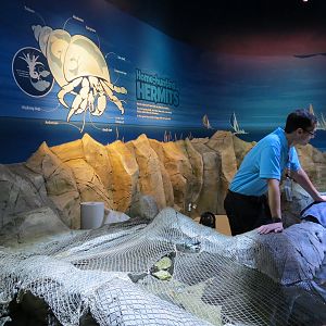 Tidal Touchpools Exhibit