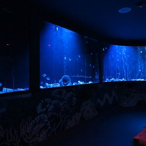 The Shoal Exhibit