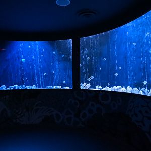 The Shoal Exhibit