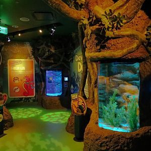 Seahorse Nursery Exhibits