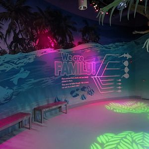 Stingray Bay Exhibit