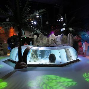 Stingray Bay Exhibit