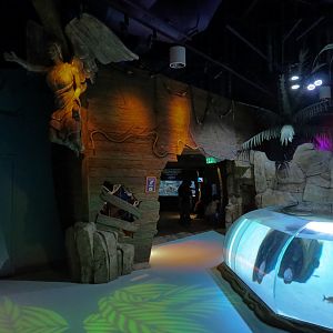 Stingray Bay Exhibit