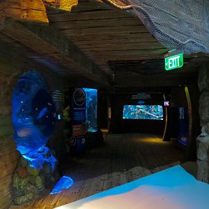 Shark Shipwreck Exhibits