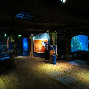 Shark Shipwreck Exhibits