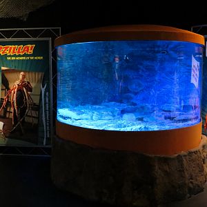 Claws - Giant Isopod Exhibit