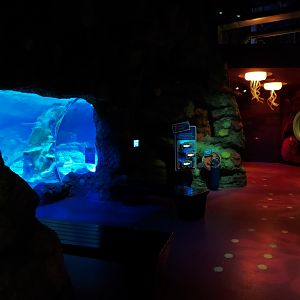 Ocean Tunnel/Tropical Ocean Exhibit