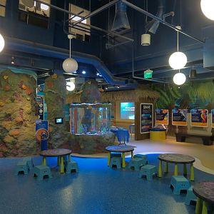Kids Soft Play Area