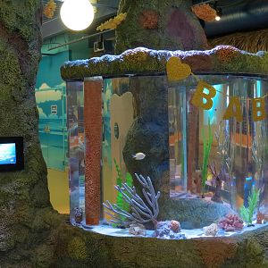 Kids Soft Play Area - Exhibit