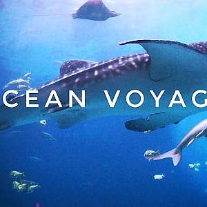 Zoo Tours | The Ocean Voyager