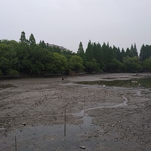 Central Lake, Drained